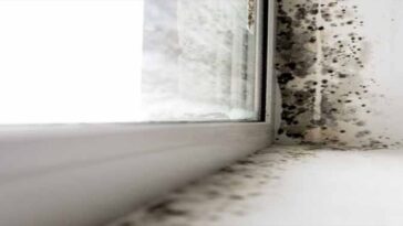 COMO
ELIMINAR EL MOHO EN EL CUARTO DE BAÑO
