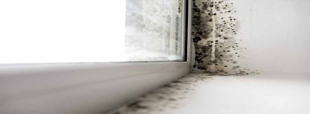 COMO
  ELIMINAR EL MOHO EN EL CUARTO DE BAÑO