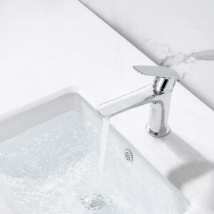 Grifo Monomando de Lavabo NATURE Cromo