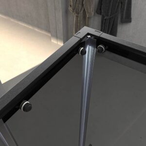 Mampara de ducha NOVUM rectangular 2 fijos - 2 puertas correderas vidrio 6 mm. Parsol gris ACERO INOXIDABLE Gun metal