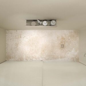 Mampara de ducha TECH STEEL frontal 1 fijo - 1 puerta corredera vidrio 8mm ACANALADO . ACERO INOXIDABLE